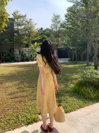 French V-neck dress