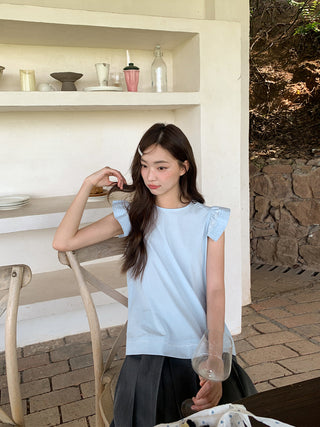 blue fly sleeve