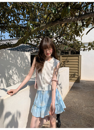 blue embroidered skirt