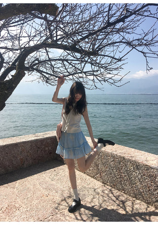 blue embroidered skirt