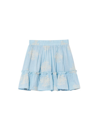 blue embroidered skirt