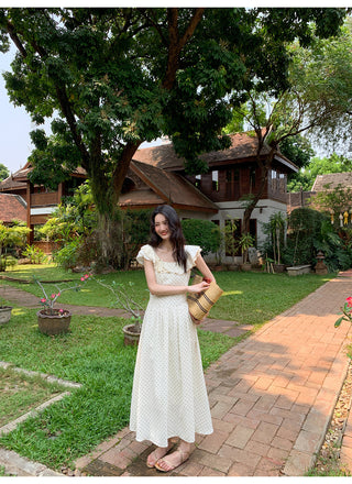 lace dot dress