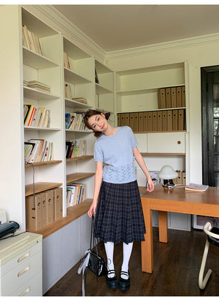 gradient pleated skirt