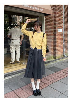 gradient pleated skirt