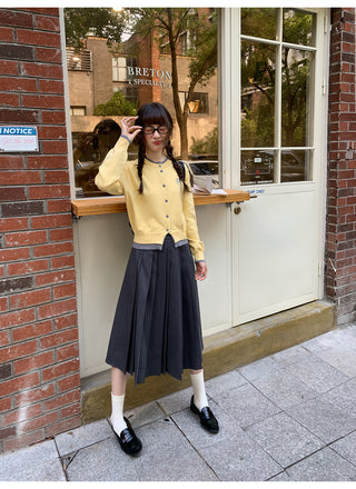 gradient pleated skirt
