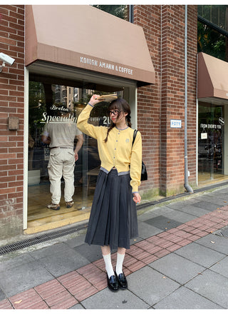 gradient pleated skirt