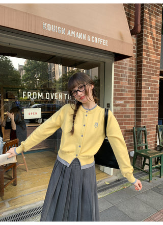 gradient pleated skirt