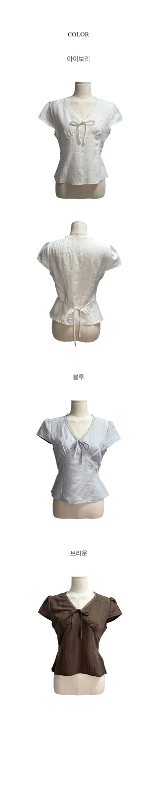 Sheer Ribbon Lace V-Neck Blouse