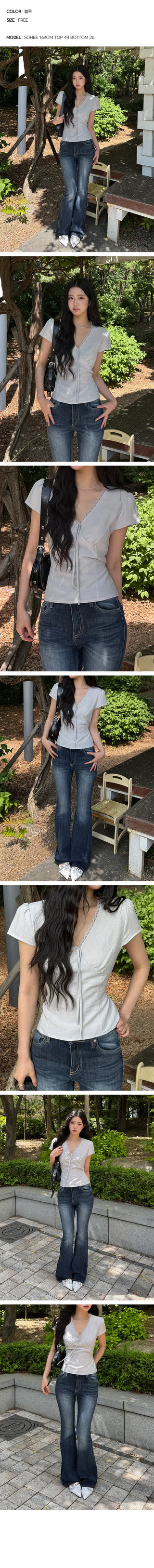 Sheer Ribbon Lace V-Neck Blouse
