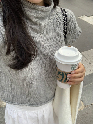 stand collar sweater