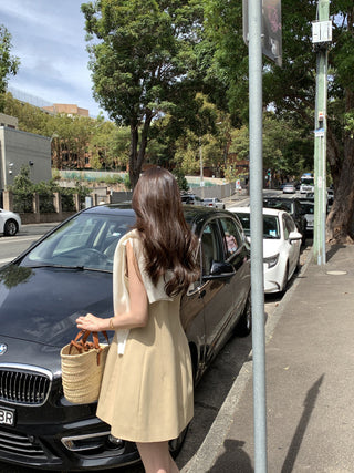 Sleeveless Vest dress