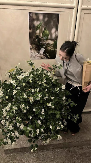 Contrast double waist stitching drawstring pants