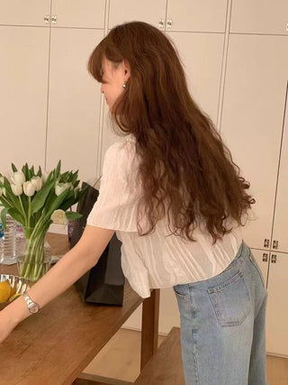 Chiffon Shirt Top