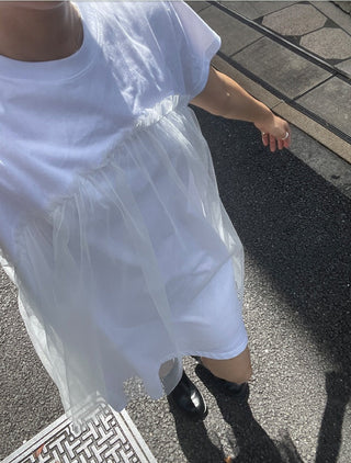 Mesh Skirt Dress