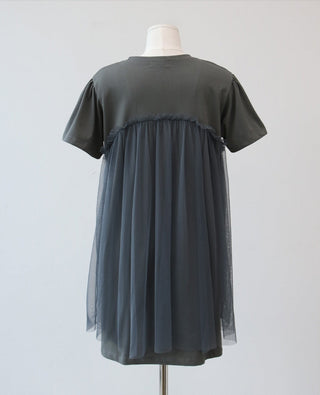 Mesh Skirt Dress