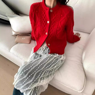 Mesh Lace Skirt