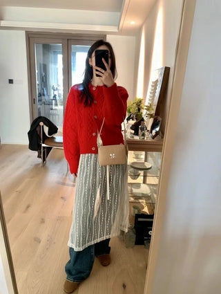 Mesh Lace Skirt