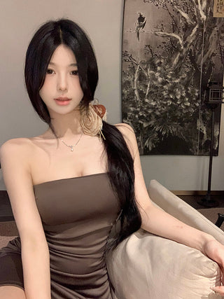 Brown Tube Top Dress