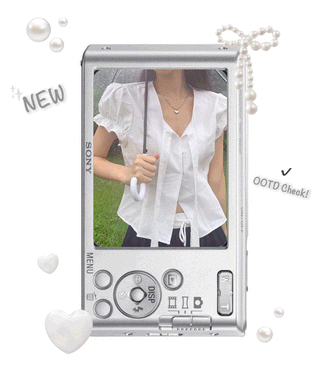 Puff Sleeve Blouse
