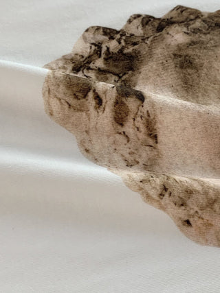 Sculpture head Top