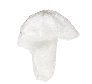Toy Earflap Beanie