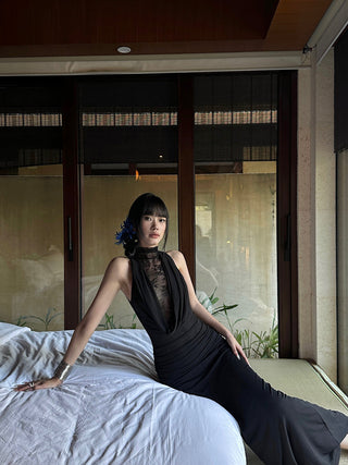 black mesh dress 01