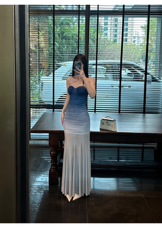 gradient mesh dress