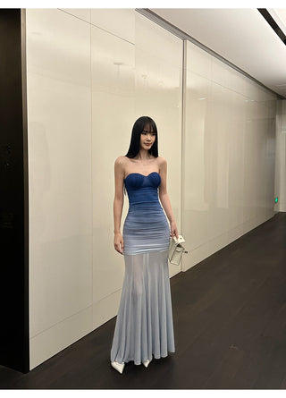 gradient mesh dress