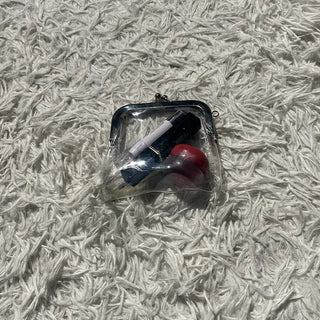 Clear clasp pouch