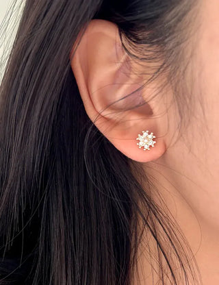 5 Pairs Earring Set: Butterfly, Star, Flower, Titanium Mini, Merry Shop