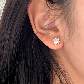 5 Pairs Earring Set: Butterfly, Star, Flower, Titanium Mini, Merry Shop
