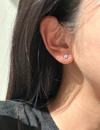 Piece Set Four-Leaf Clover Mini Earrings Pearl Earrings