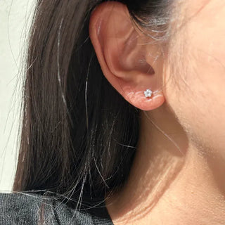 Piece Set Four-Leaf Clover Mini Earrings Pearl Earrings