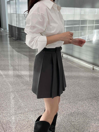 Basic Spring/Autumn Mini Skirt