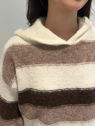 Daily Hooded Striped Knit