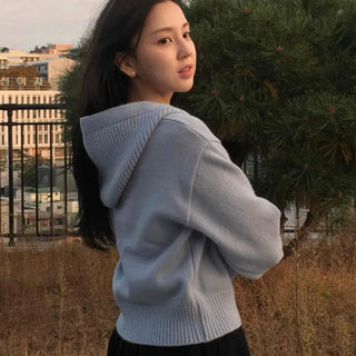 Soft Hooded Crop Knit