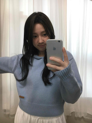 Soft Hooded Crop Knit