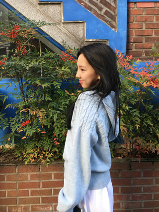 Cable Twist Hooded Loose Fit Knit