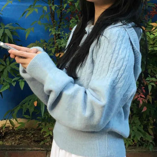 Cable Twist Hooded Loose Fit Knit