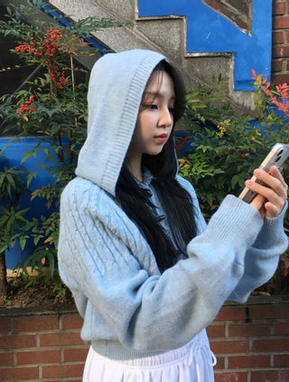 Cable Twist Hooded Loose Fit Knit