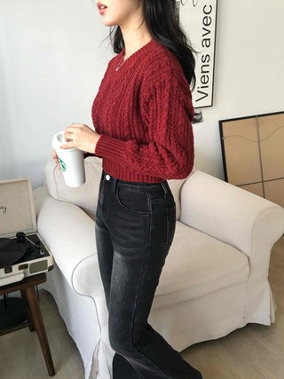 Cable Wool V-Neck Crop Knit