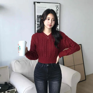 Cable Wool V-Neck Crop Knit