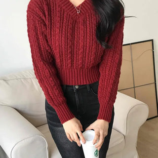 Cable Wool V-Neck Crop Knit