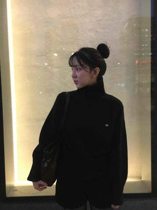 Simple Turtleneck Loose Fit Knit