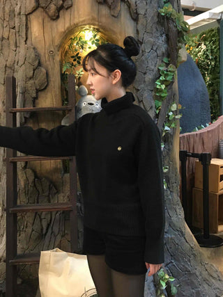 Simple Turtleneck Loose Fit Knit