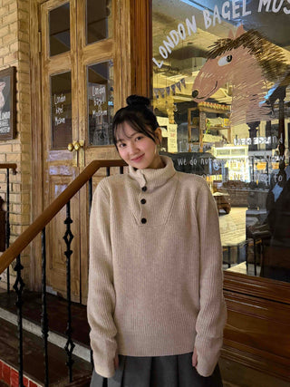 Simple Turtleneck Oversized Knit