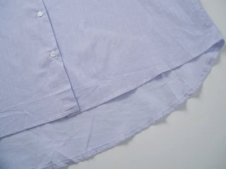 Reben Boxy Fit Linen See-Through Long Sleeve Shirt