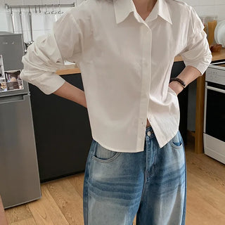 Benipen Striped Herringbone Crop Shirt