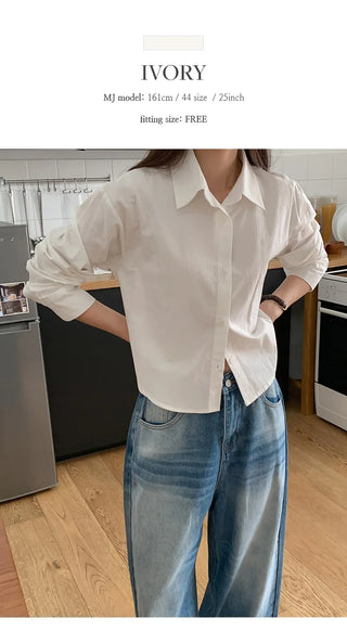 Benipen Striped Herringbone Crop Shirt