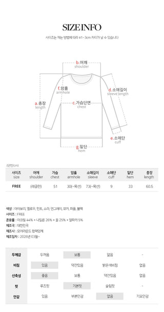 Berique Wool See through Button Raglan Long Sleeve Knit
